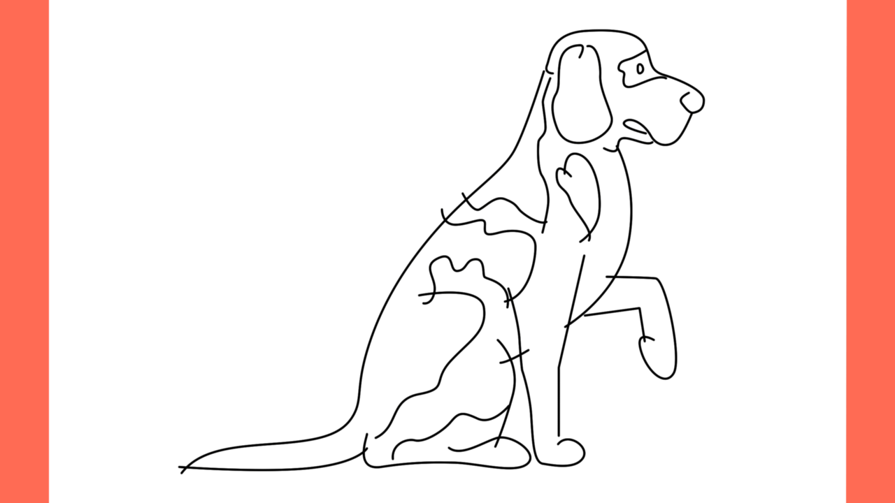 ab Comment dessiner un chien Labrador (8)