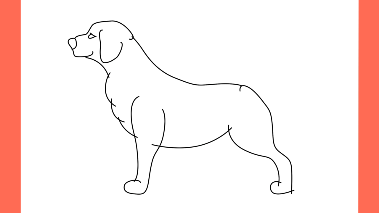 ab Comment dessiner un chien golden retriever (4)