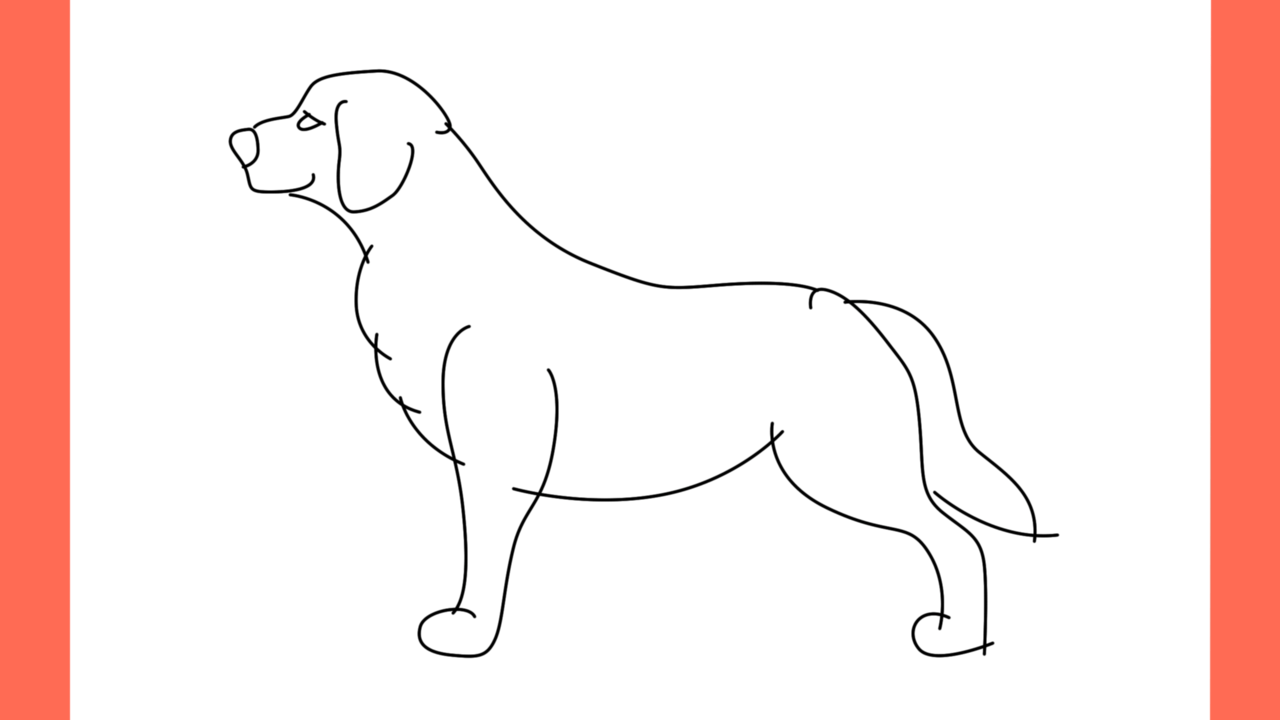 ab Comment dessiner un chien golden retriever (5)