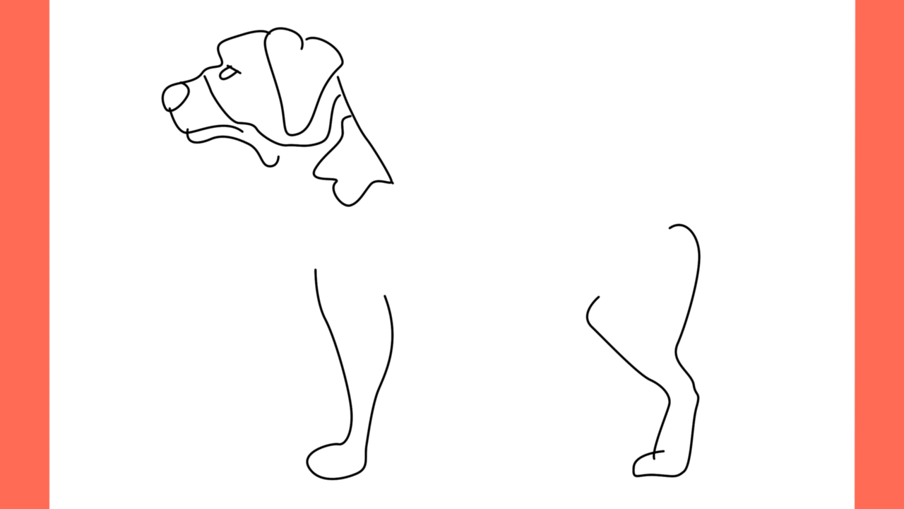 ab Comment dessiner un chien jack russell terrier (5)