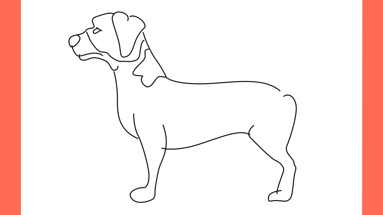 ab Comment dessiner un chien jack russell terrier (6)