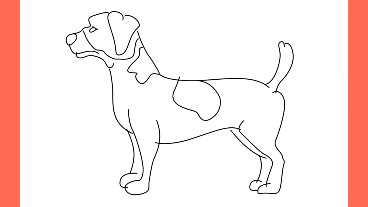 ab Comment dessiner un chien jack russell terrier (8)