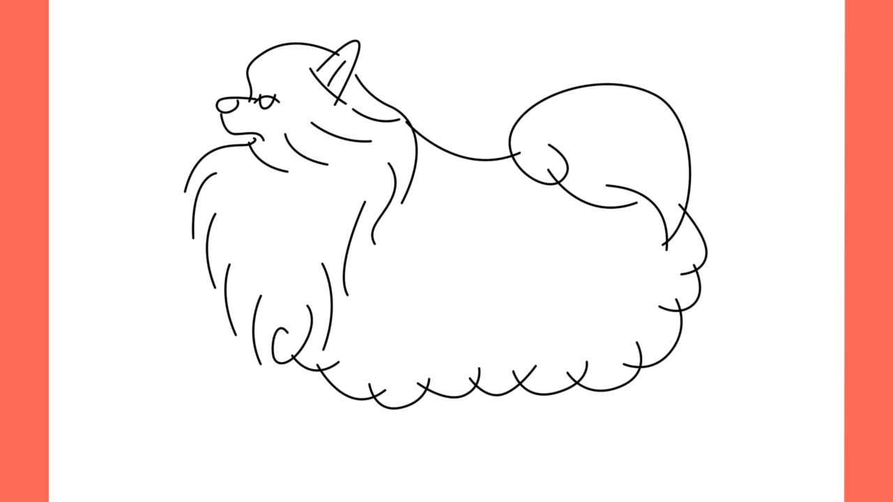 ab Comment dessiner un chien pomeranian (7)