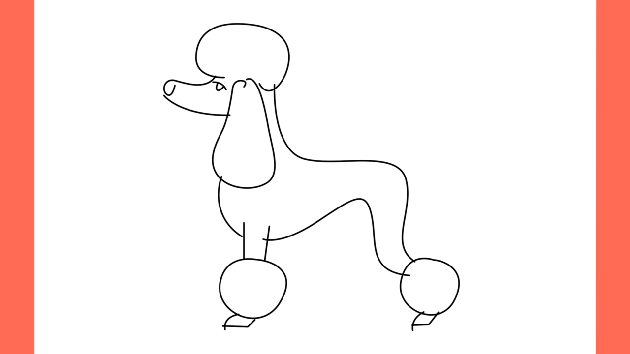 ab Comment dessiner un chien poodle (6)