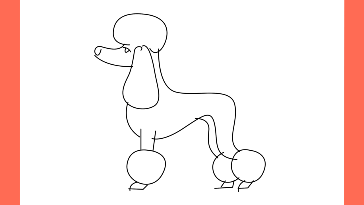 ab Comment dessiner un chien poodle (7)
