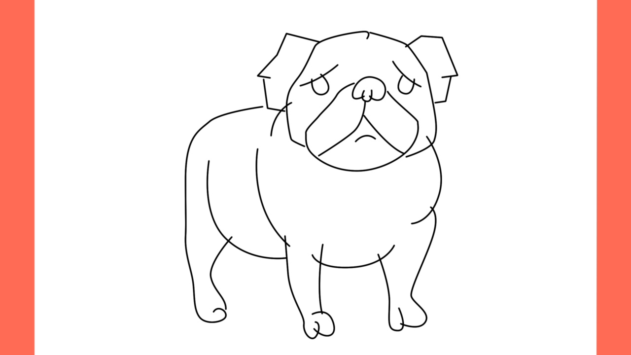 ab Comment dessiner un chien pug (9)