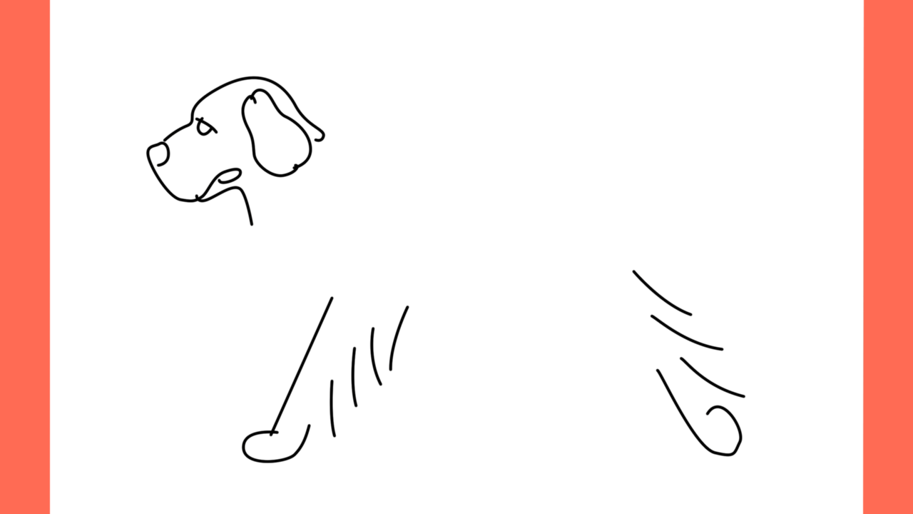 ab Comment dessiner un chien retriever (4)
