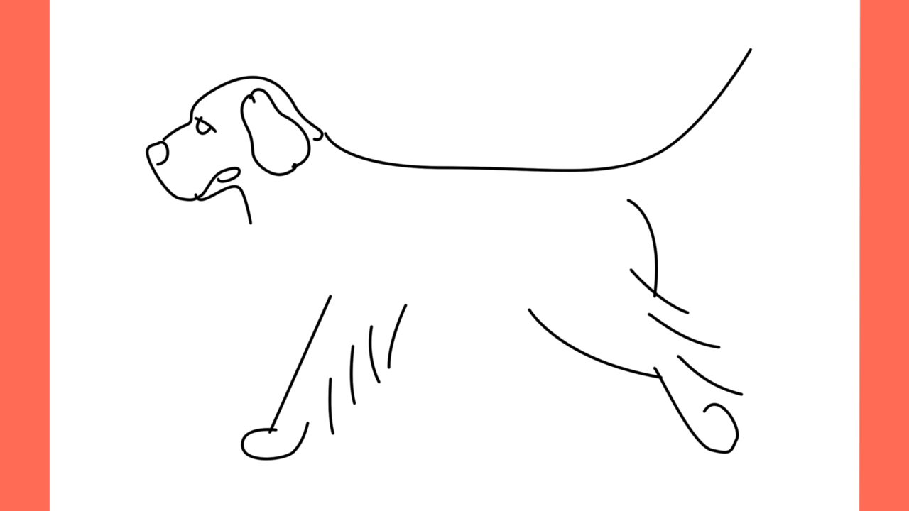ab Comment dessiner un chien retriever (5)