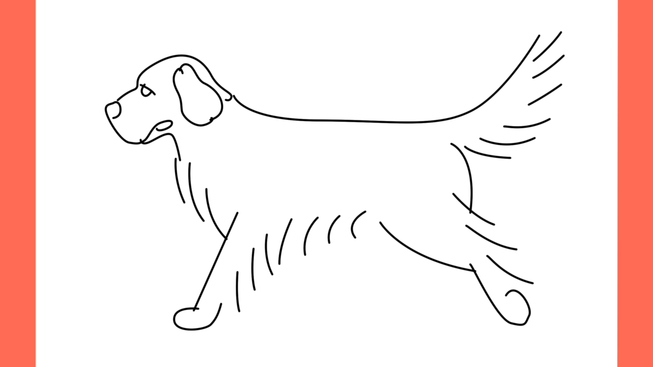 ab Comment dessiner un chien retriever (7)