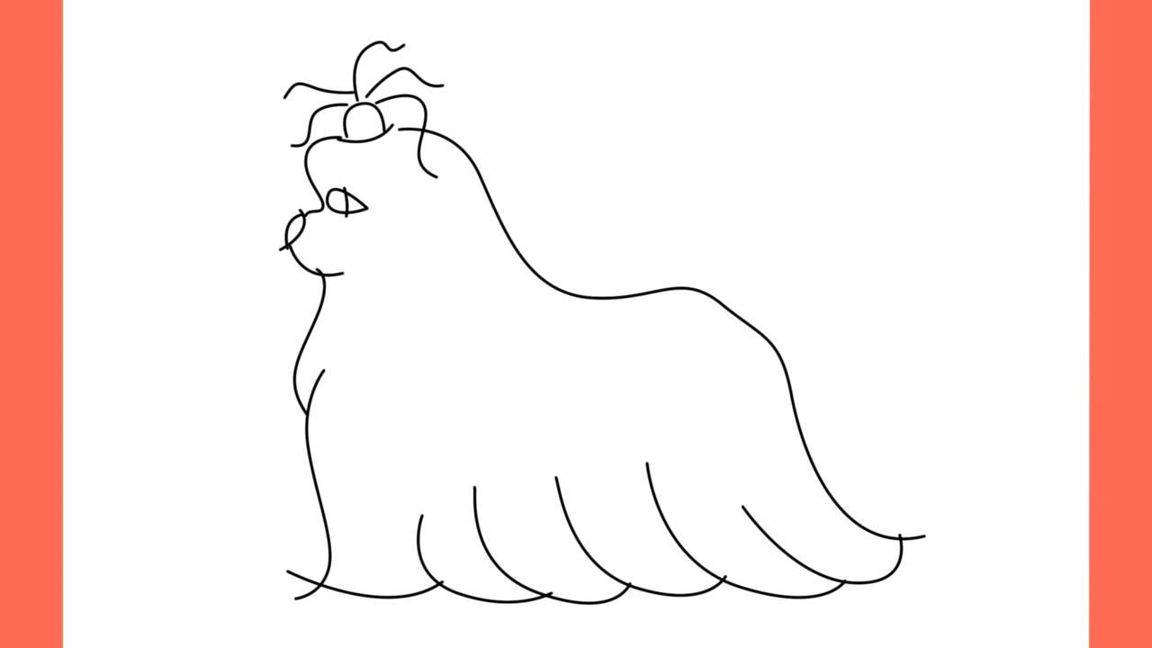ab Comment dessiner un chien shih tzu (6)