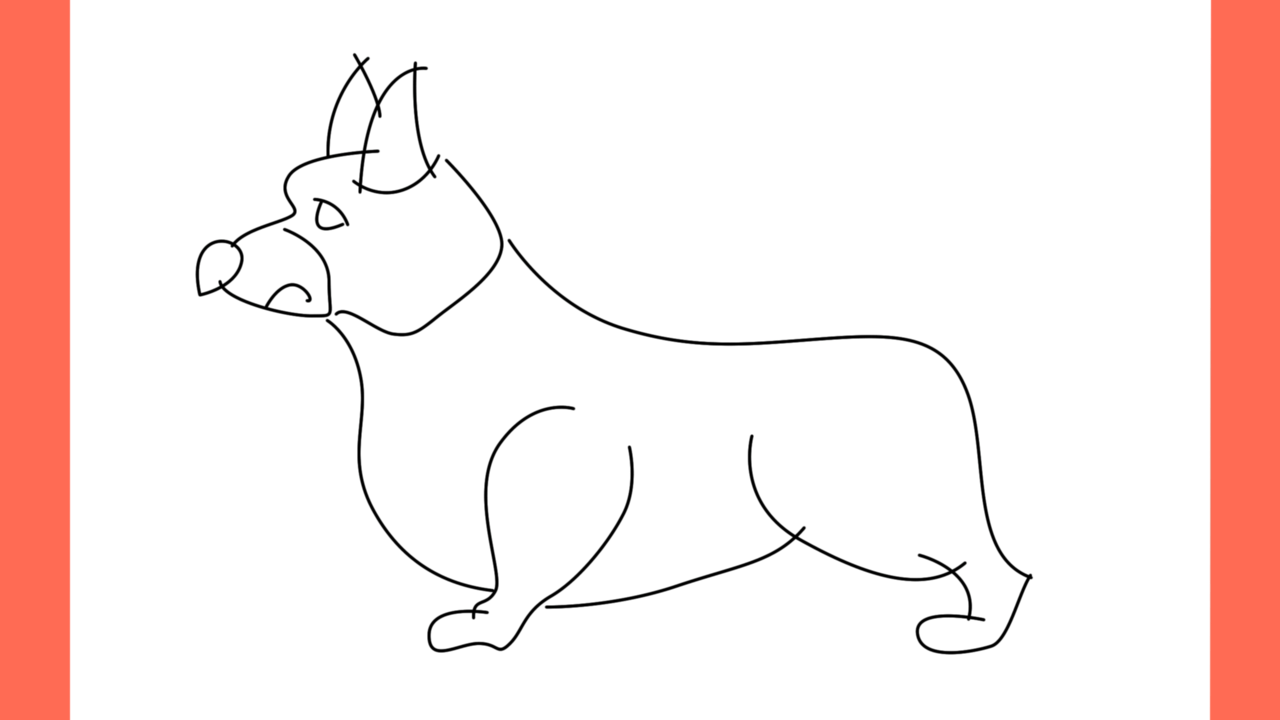 ab Comment dessiner un chien welsh corgi (7)