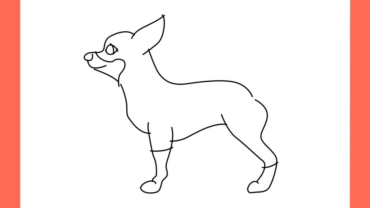 ab Comment dessiner un chihuahua (6)