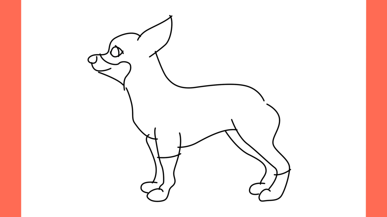 ab Comment dessiner un chihuahua (7)