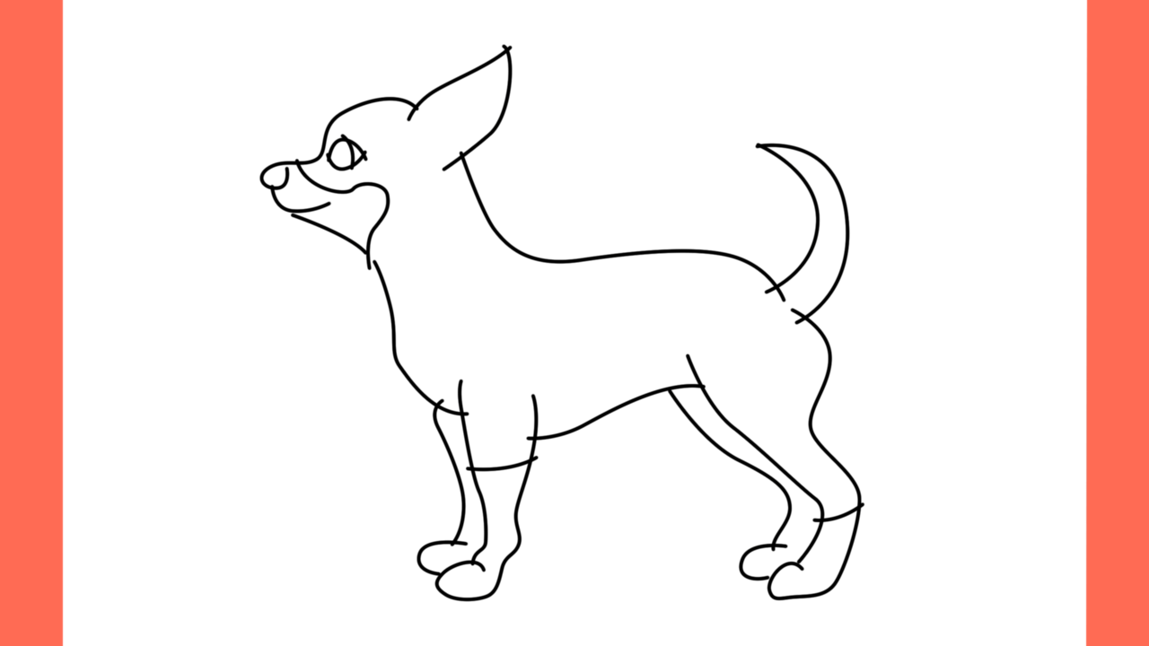 ab Comment dessiner un chihuahua (8)