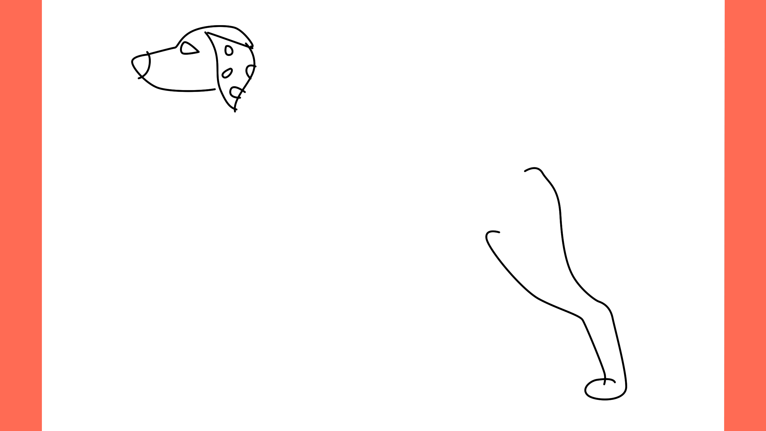 b Comment dessiner un chien Dalmatian (5)