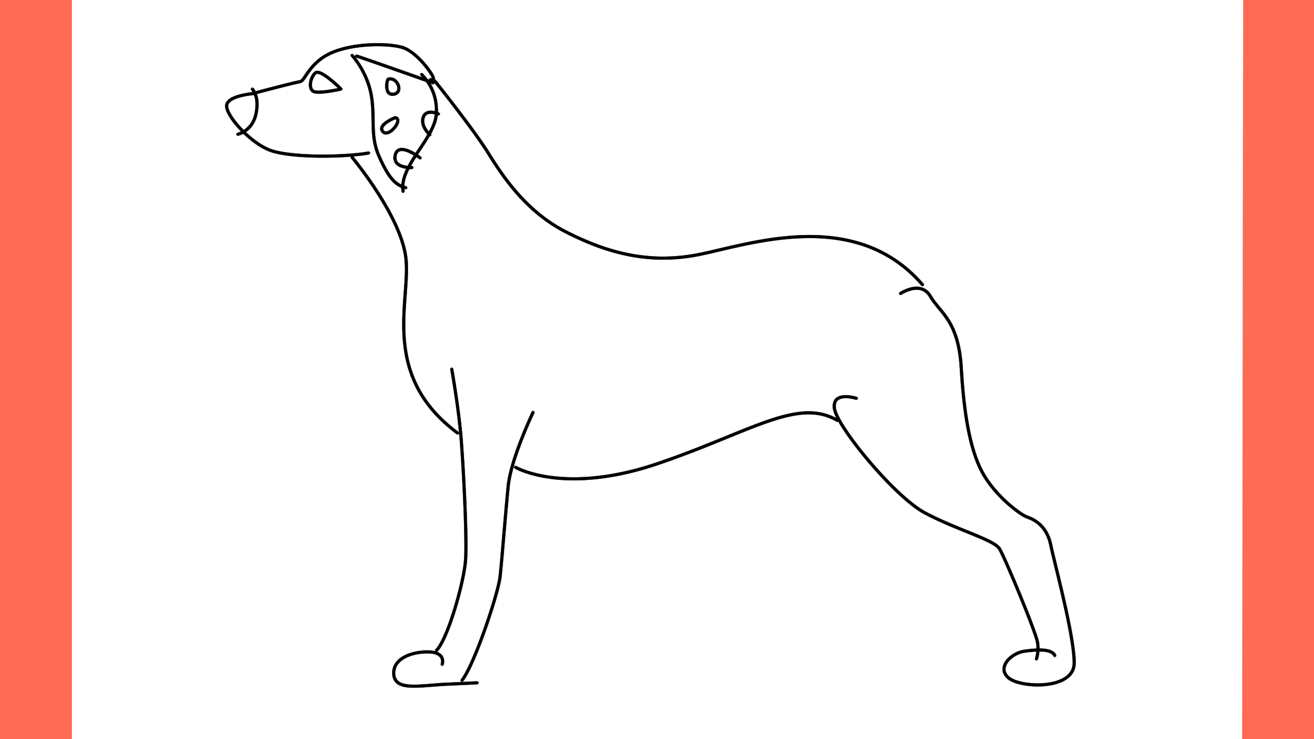 b Comment dessiner un chien Dalmatian (7)