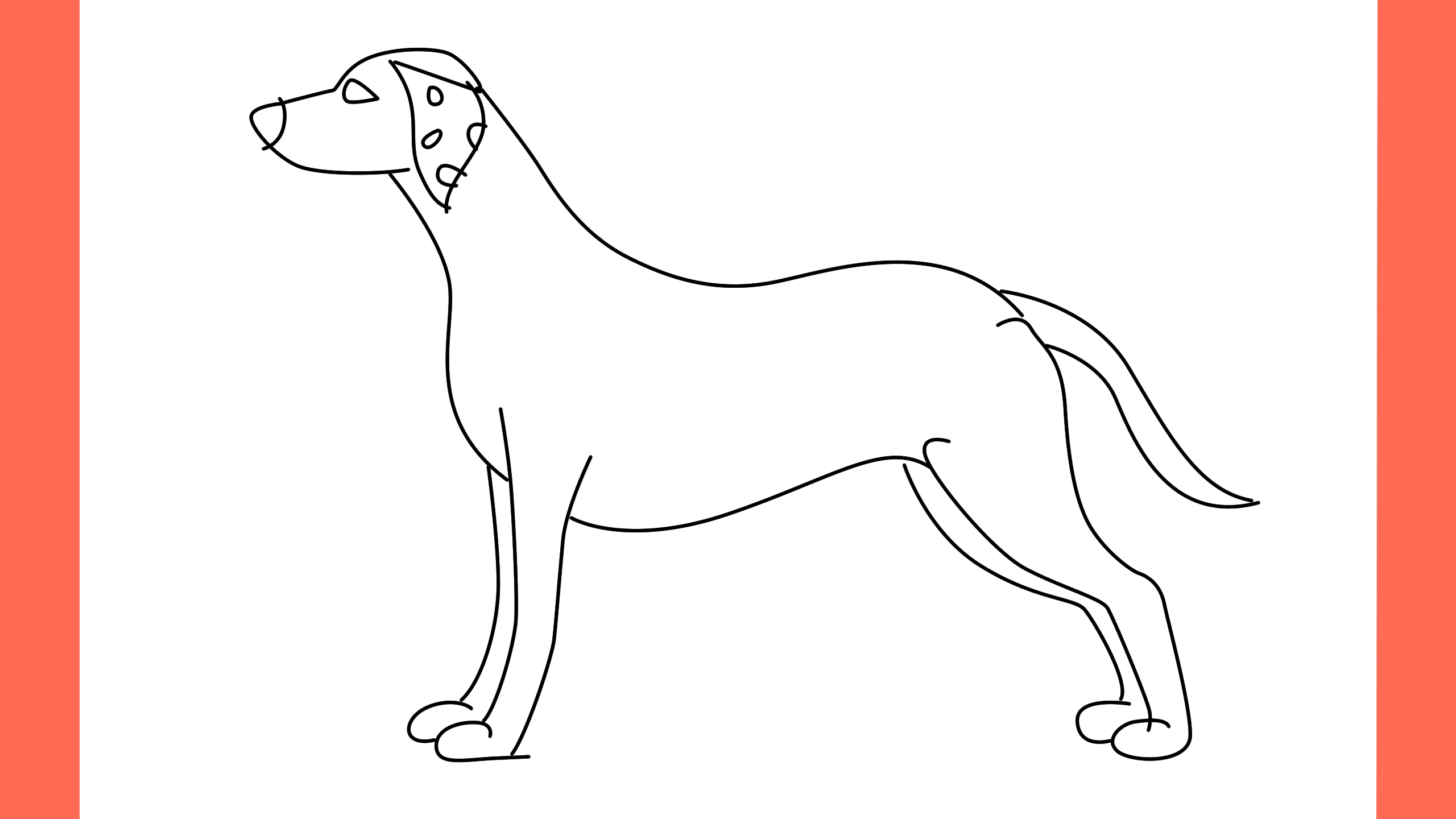 b Comment dessiner un chien Dalmatian (9)