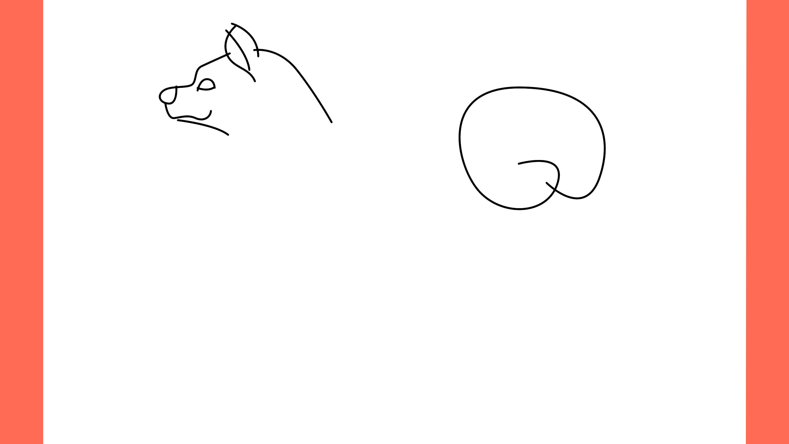 b Comment dessiner un chien akita inu (3)