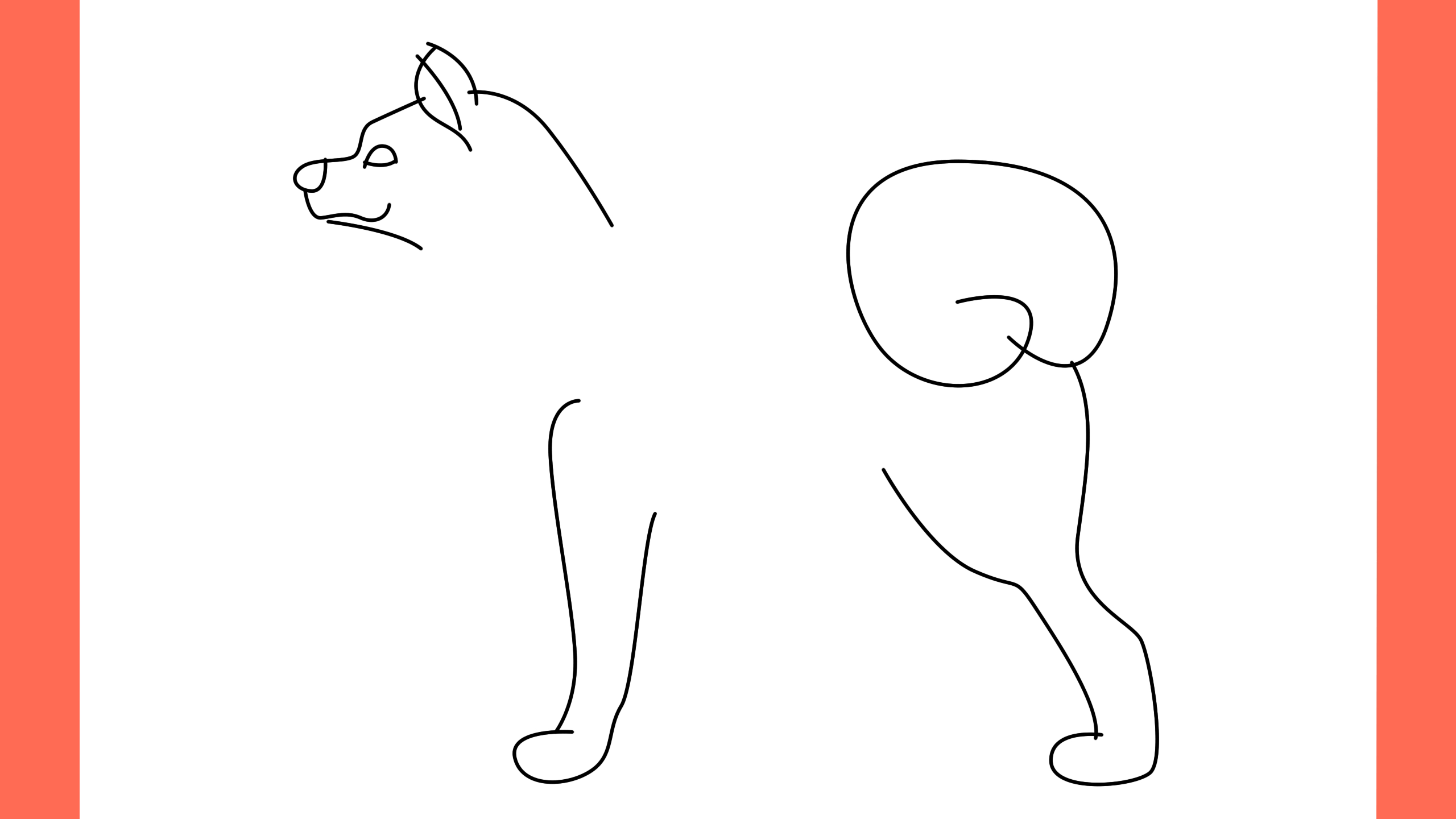 b Comment dessiner un chien akita inu (4)