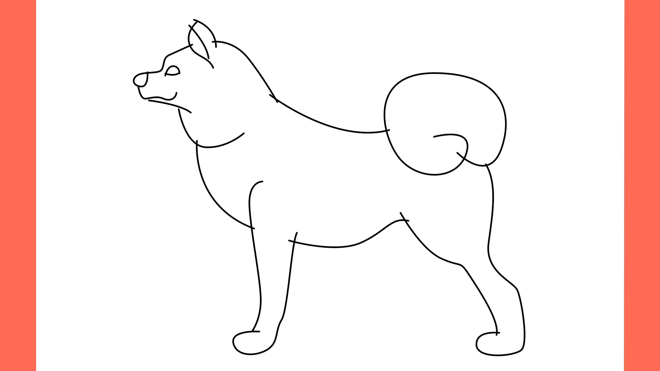 b Comment dessiner un chien akita inu (5)
