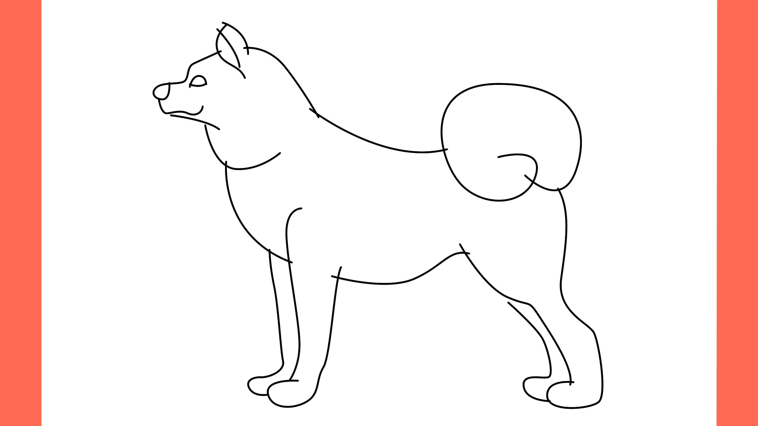 b Comment dessiner un chien akita inu (6)