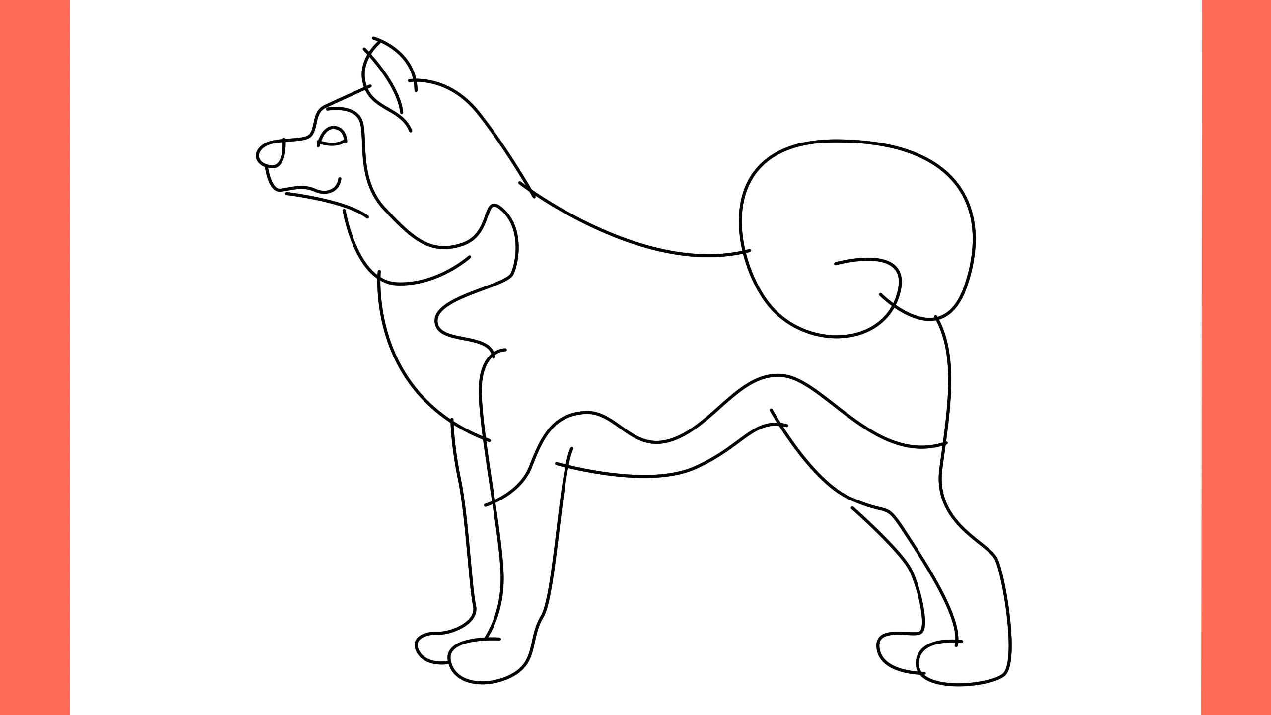 b Comment dessiner un chien akita inu (7)
