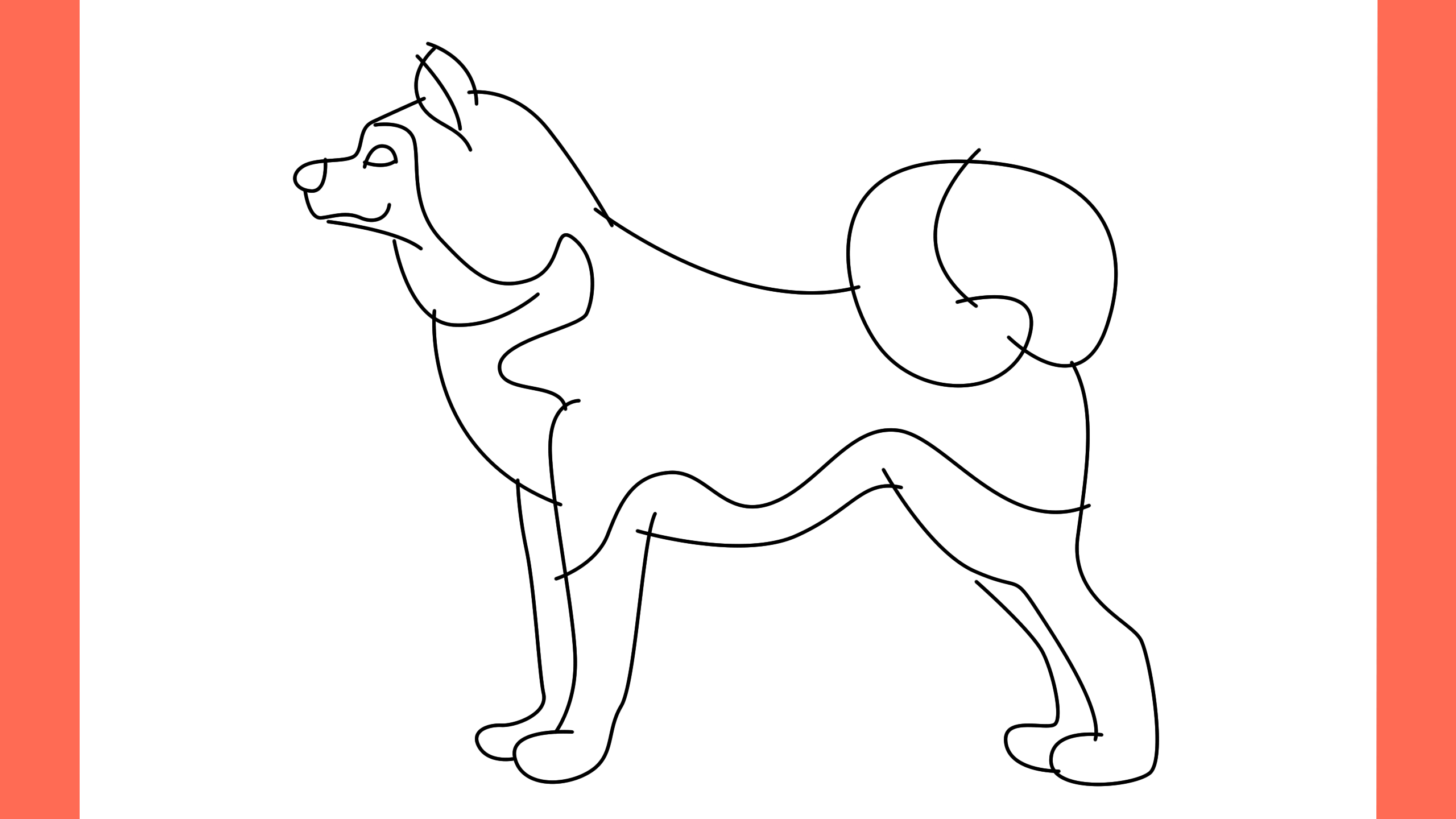 b Comment dessiner un chien akita inu (8)