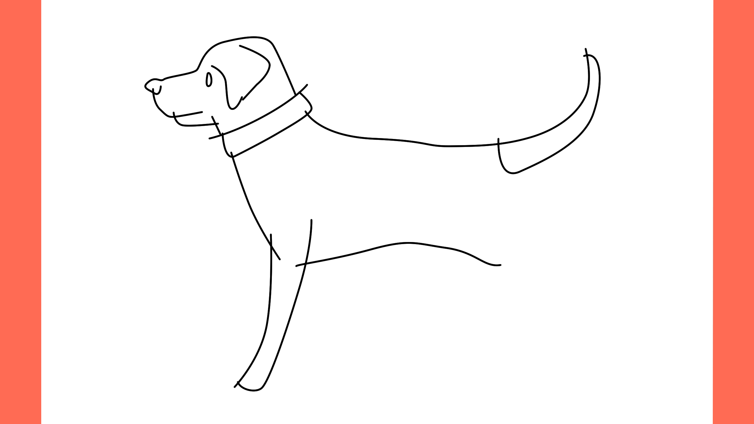 b Comment dessiner un chien american foxhound (7)