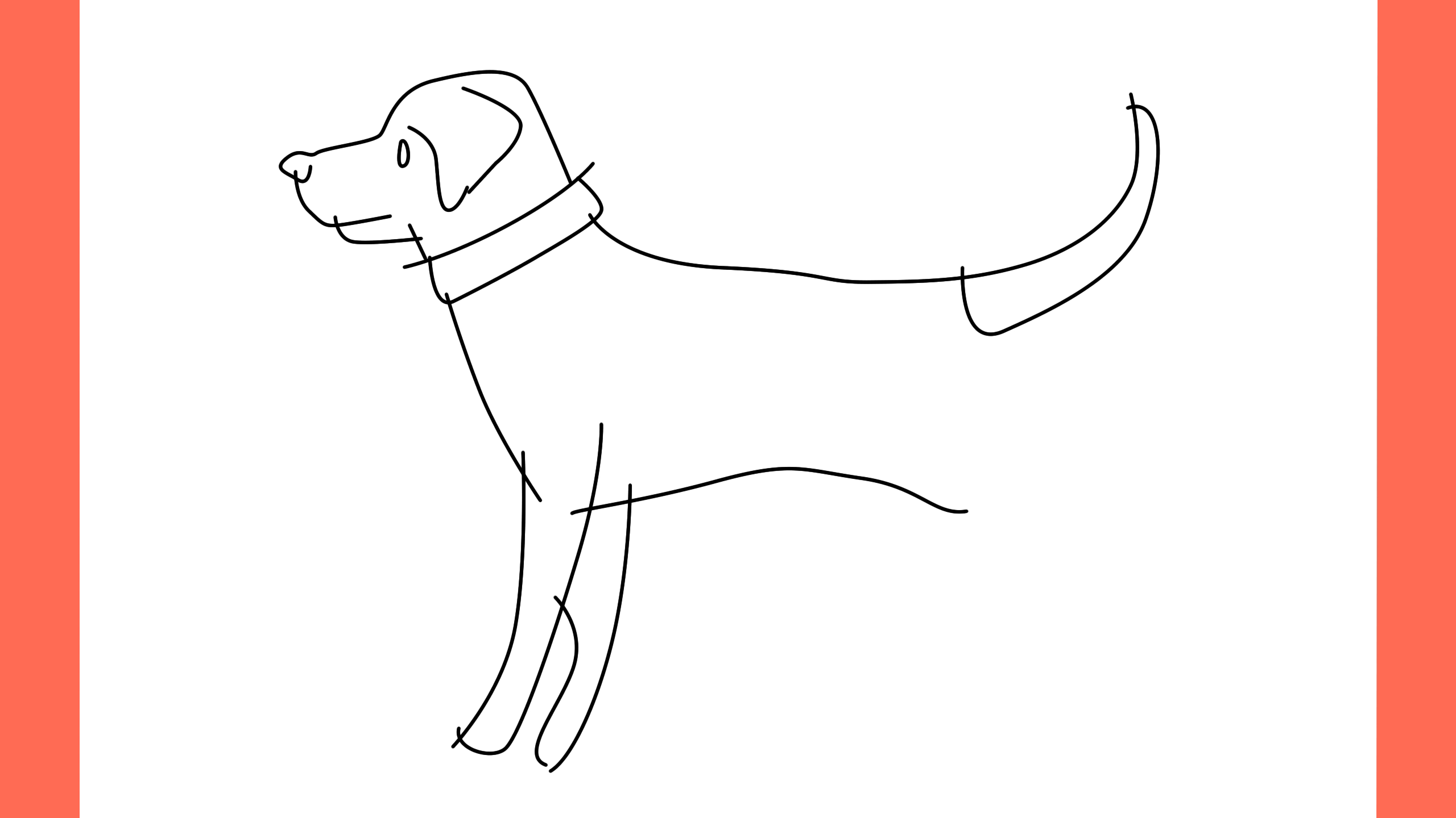 b Comment dessiner un chien american foxhound (8)