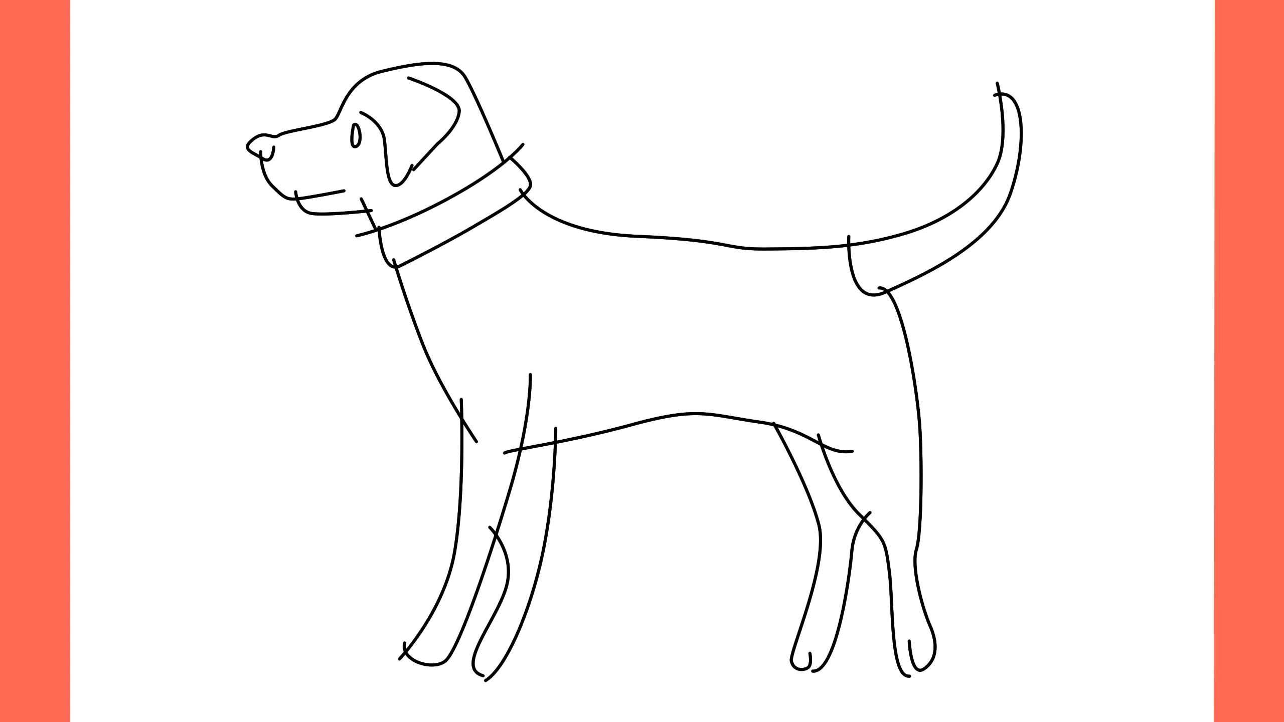 b Comment dessiner un chien american foxhound (9)