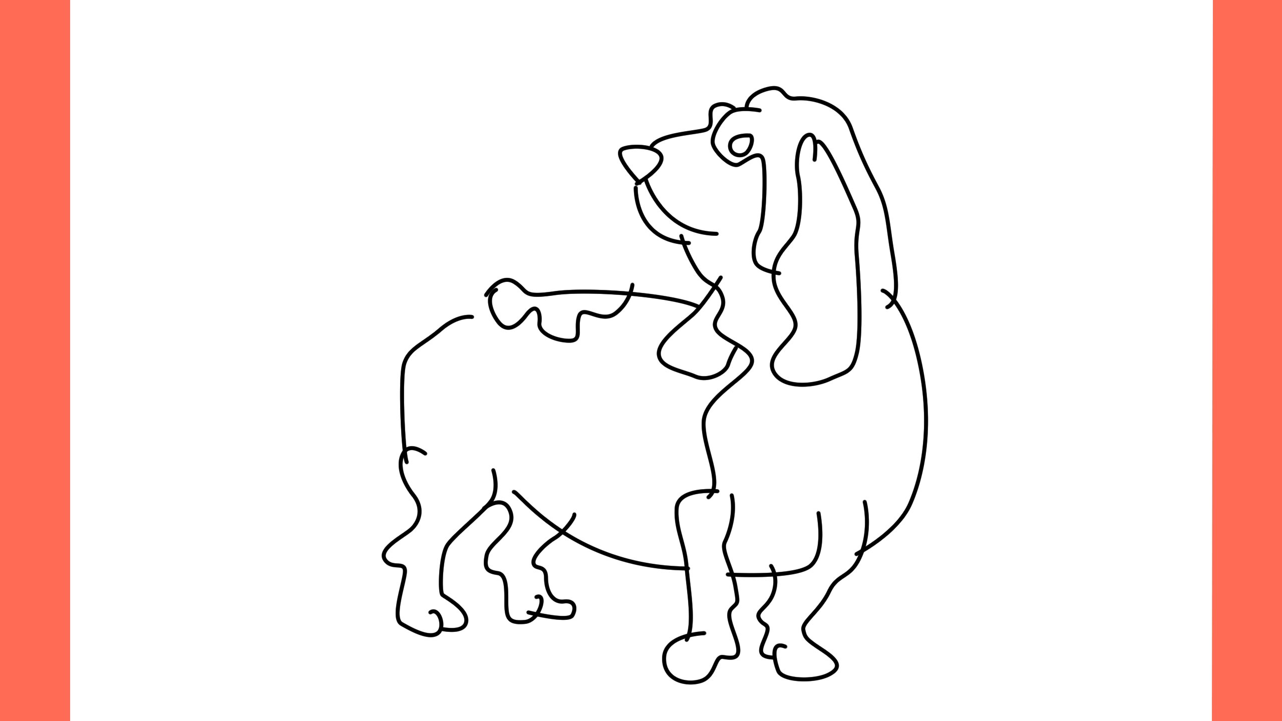 b Comment dessiner un chien basset hound (10)