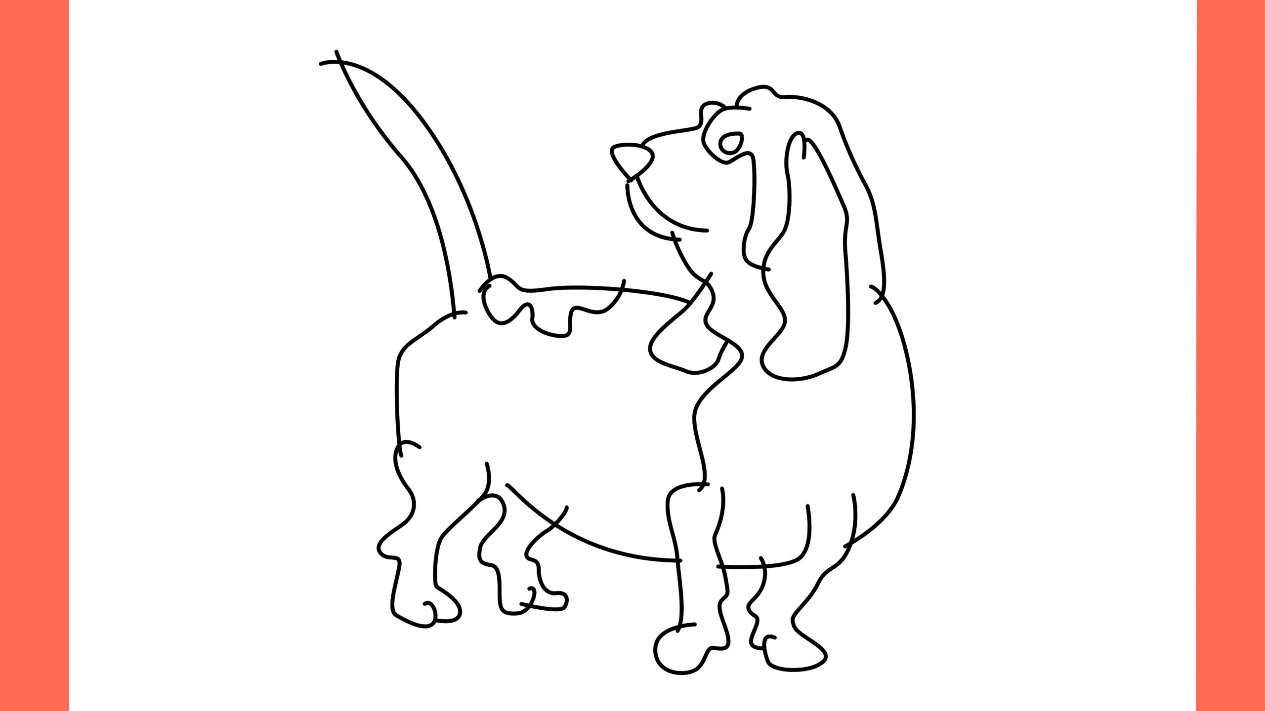 b Comment dessiner un chien basset hound (11)