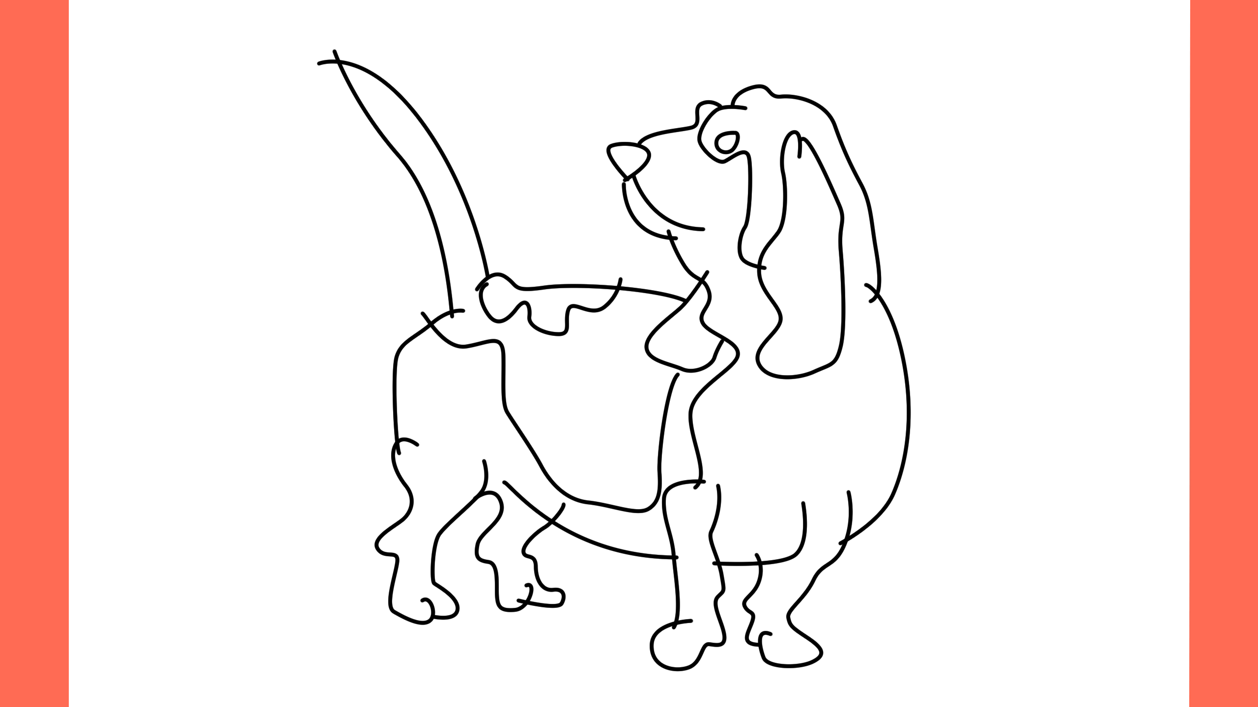 b Comment dessiner un chien basset hound (12)