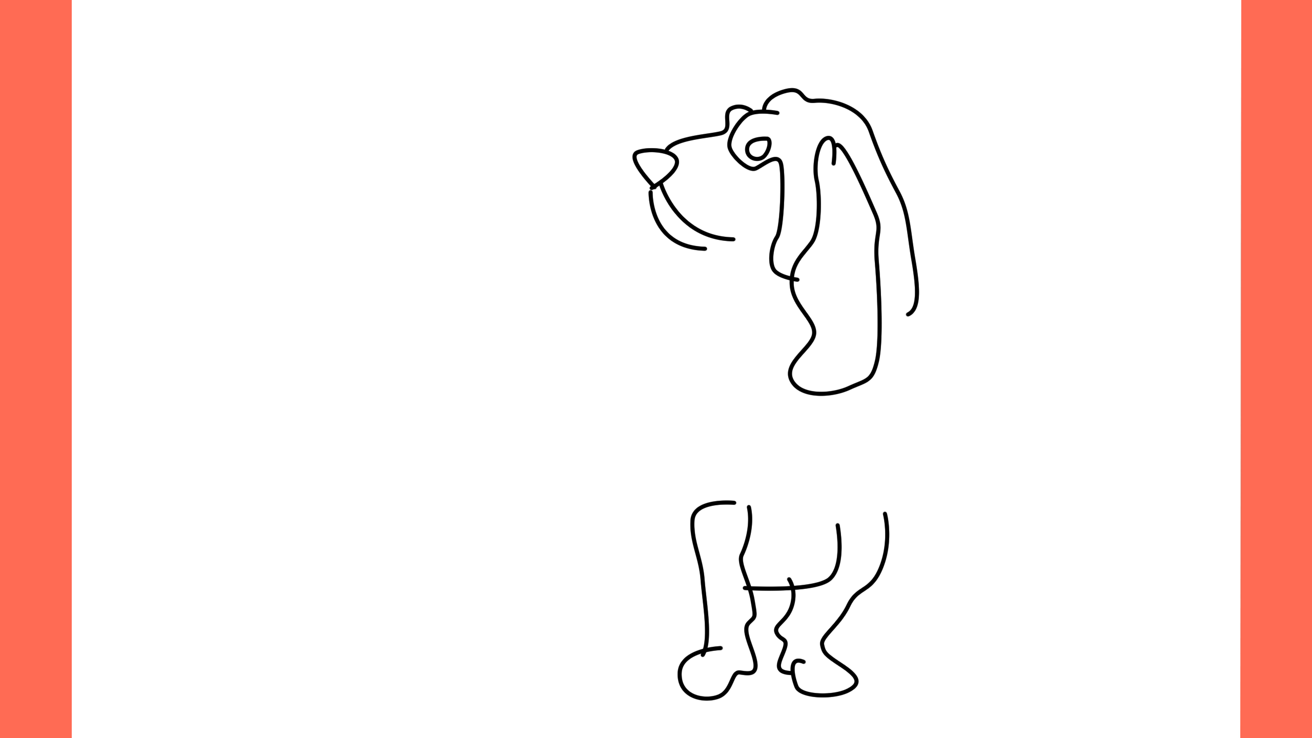 b Comment dessiner un chien basset hound (5)