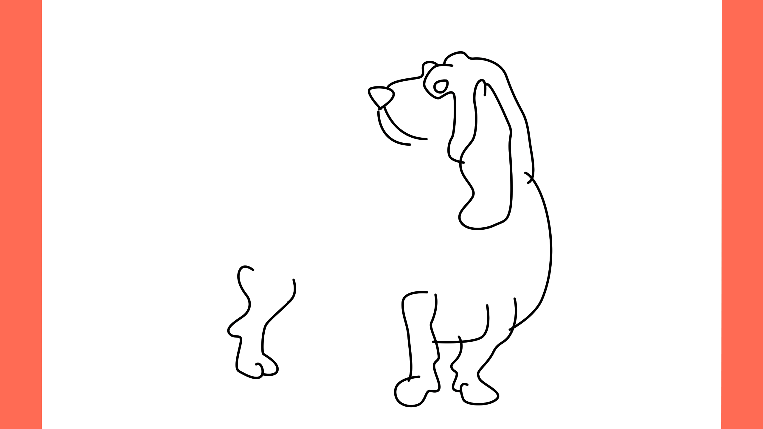 b Comment dessiner un chien basset hound (6)