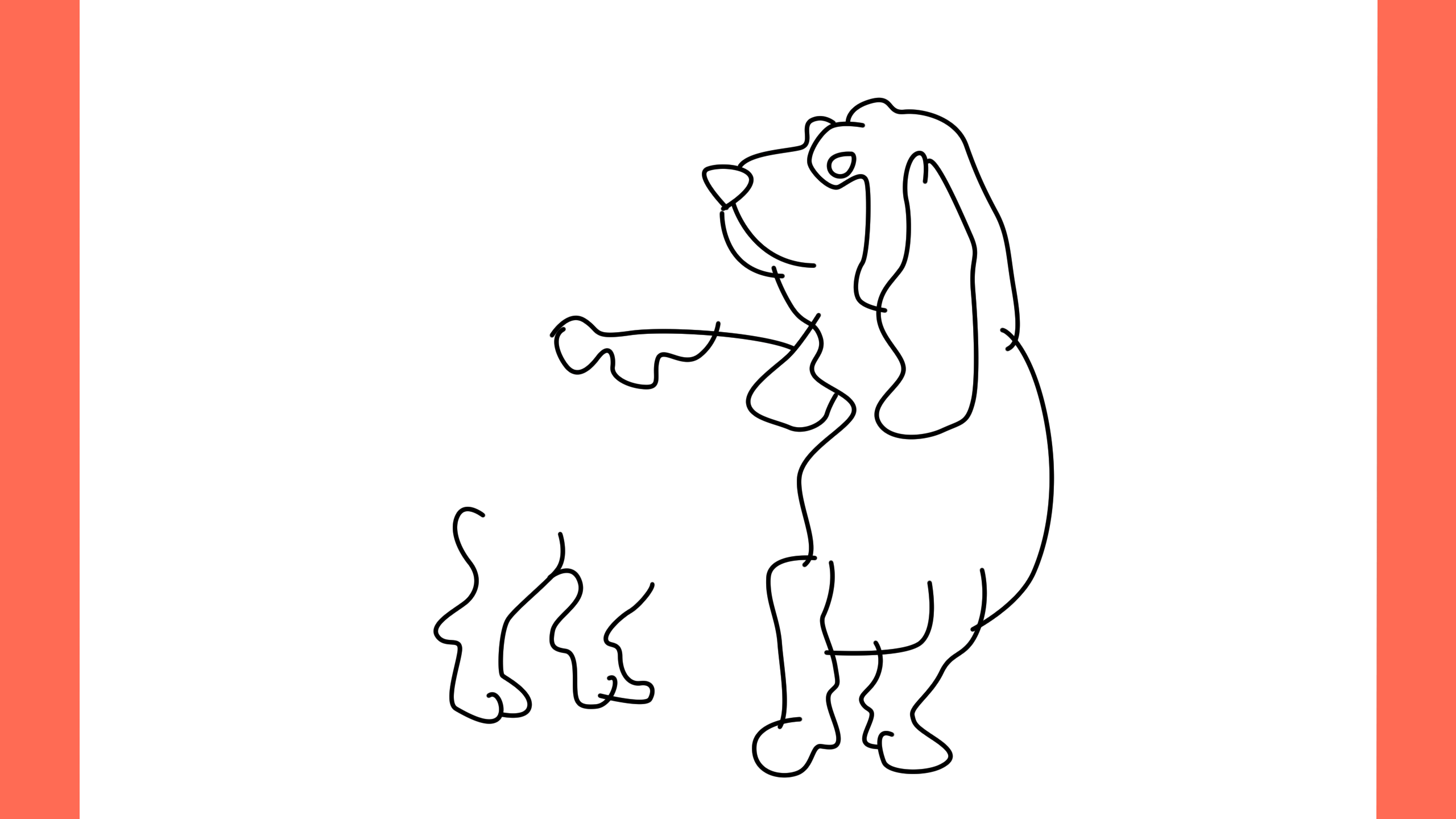b Comment dessiner un chien basset hound (9)