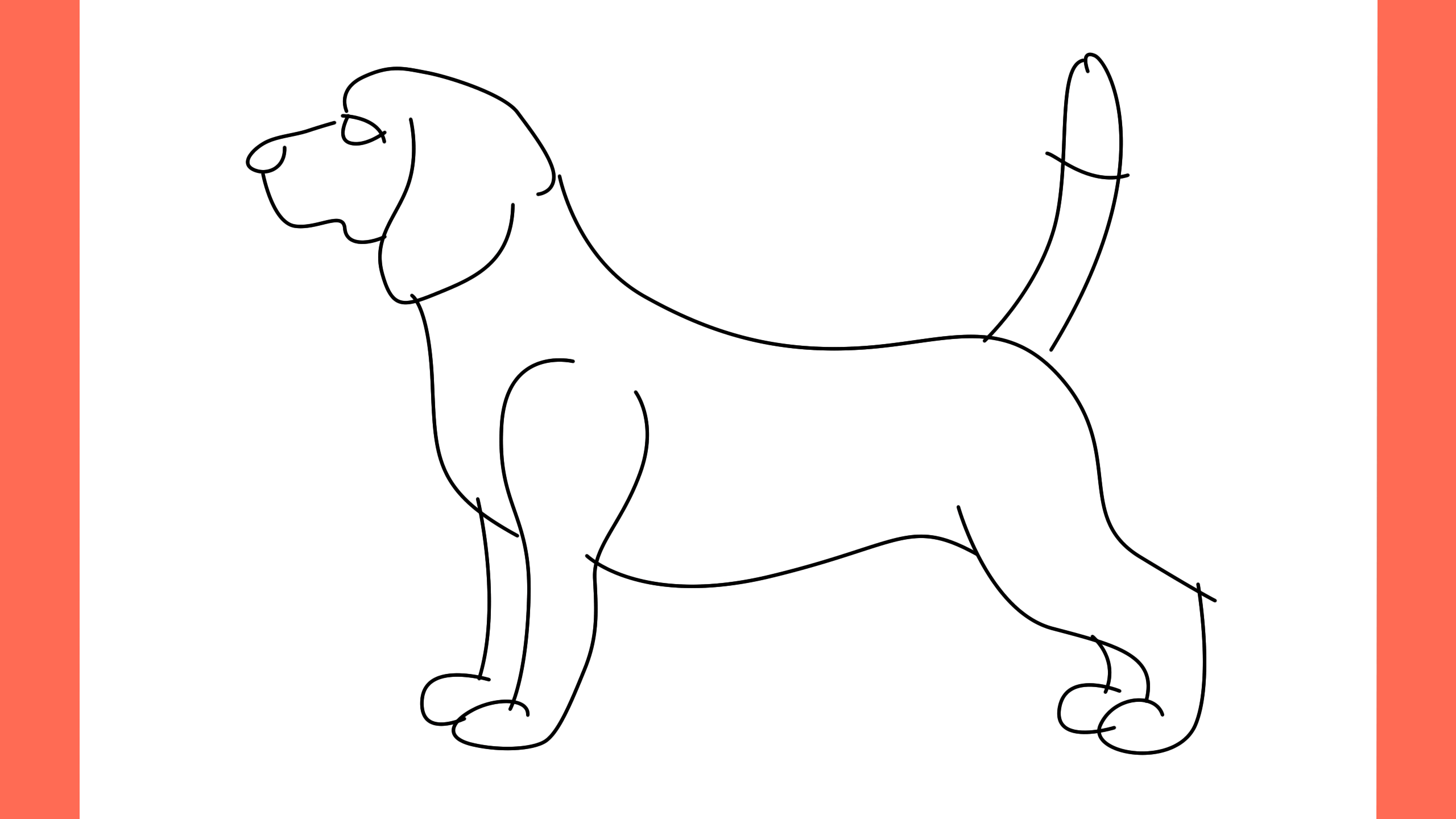b Comment dessiner un chien beagle (7)