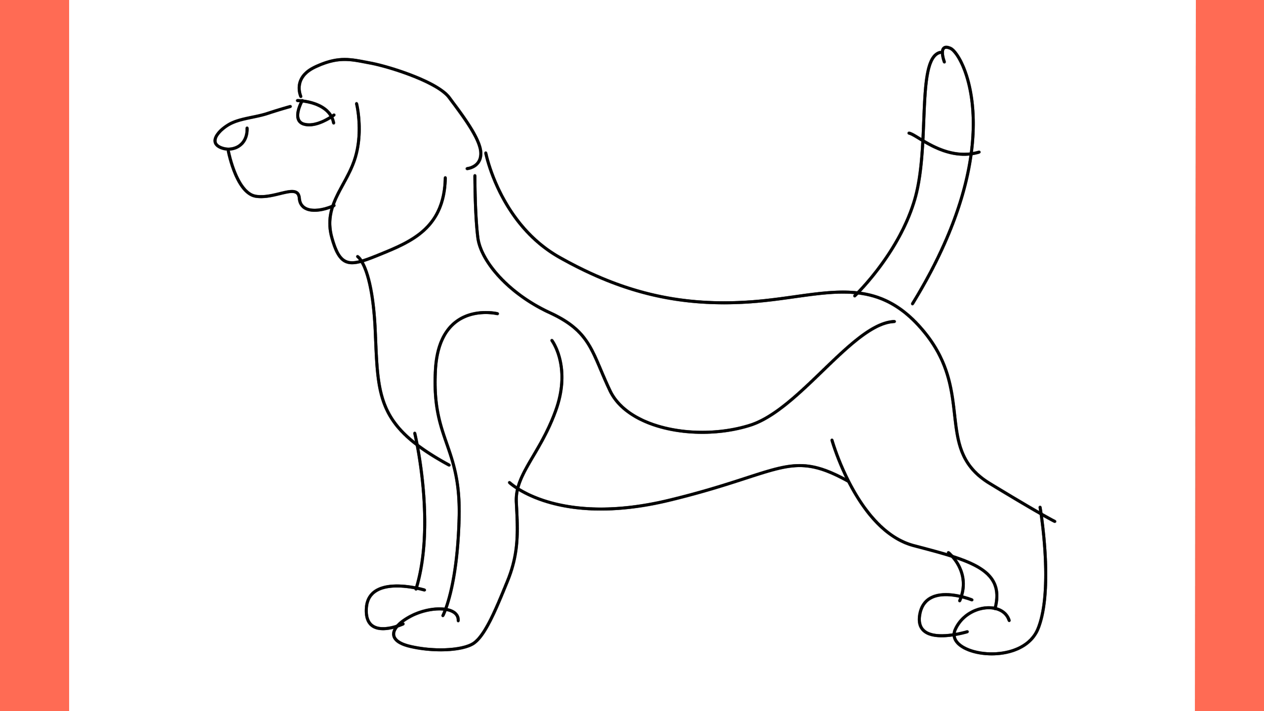 b Comment dessiner un chien beagle (8)