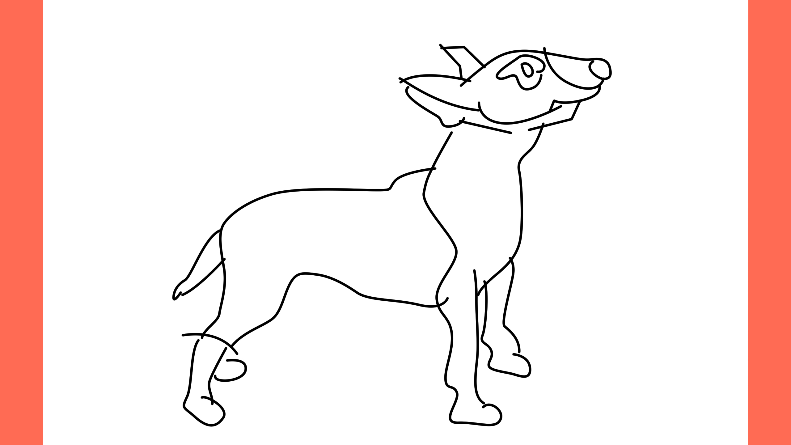 b Comment dessiner un chien bull terrier (10)