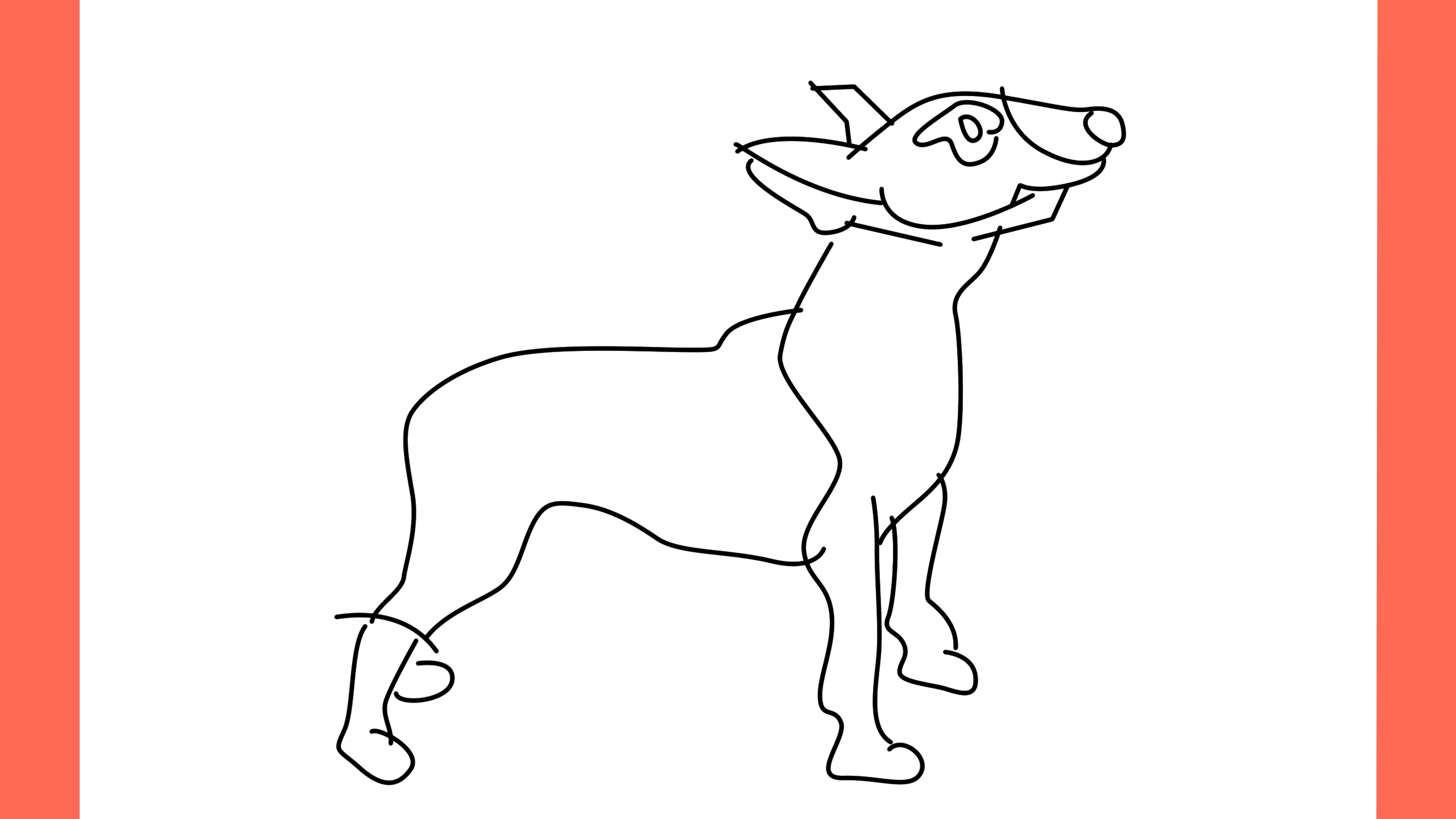 b Comment dessiner un chien bull terrier (9)