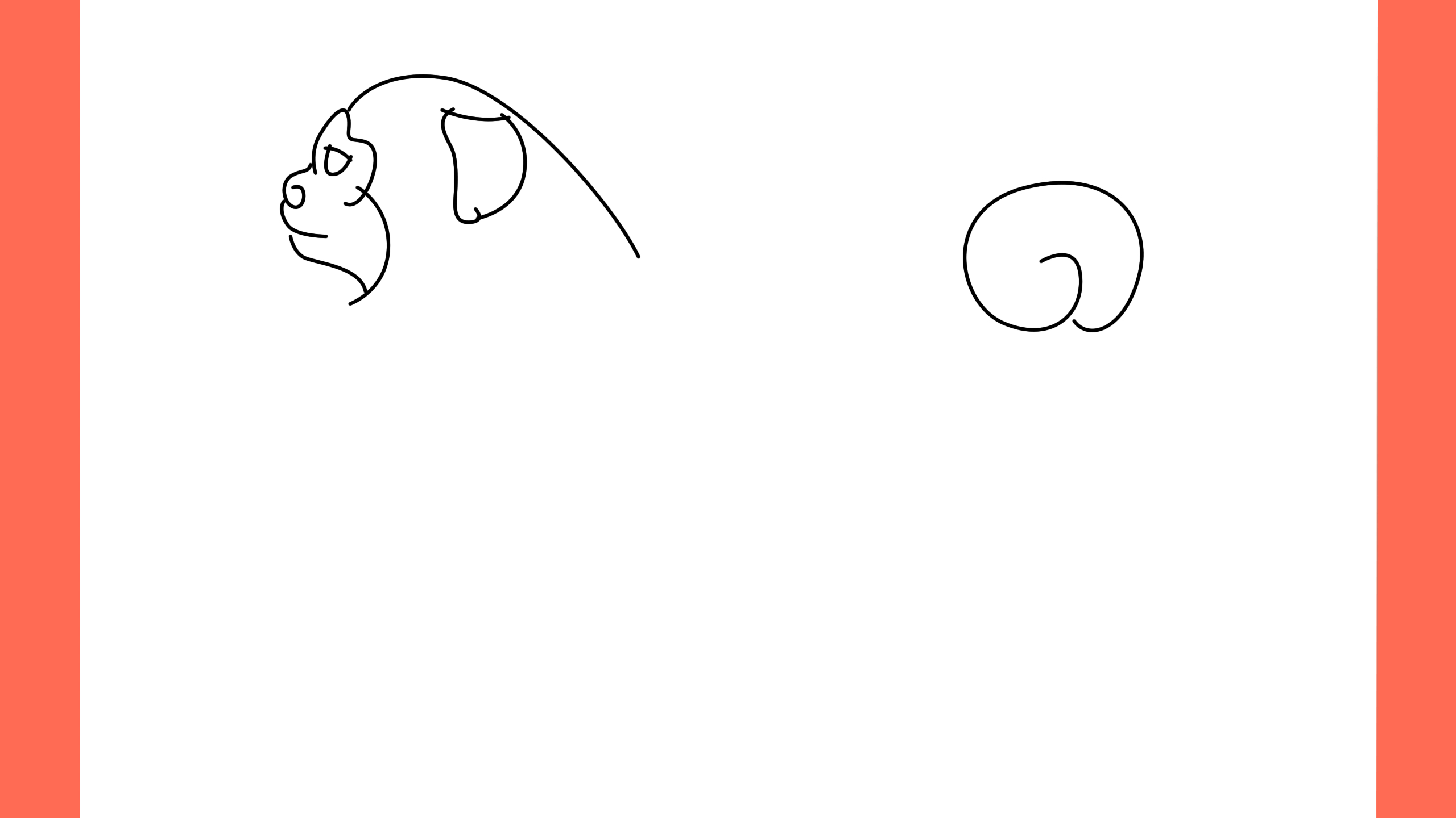 b Comment dessiner un chien chow chow (5)