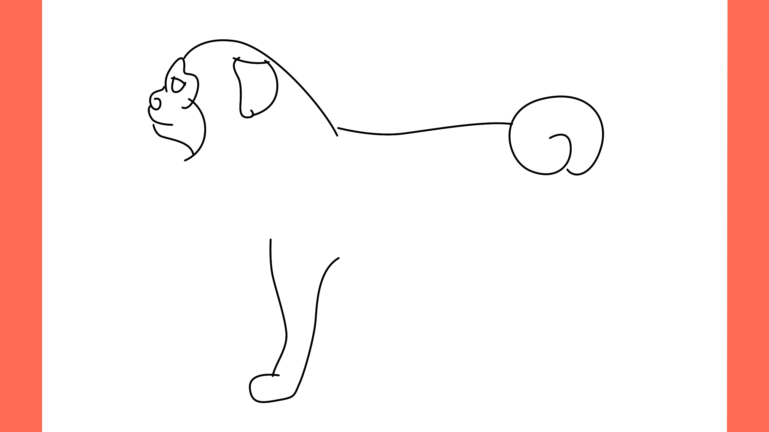b Comment dessiner un chien chow chow (6)