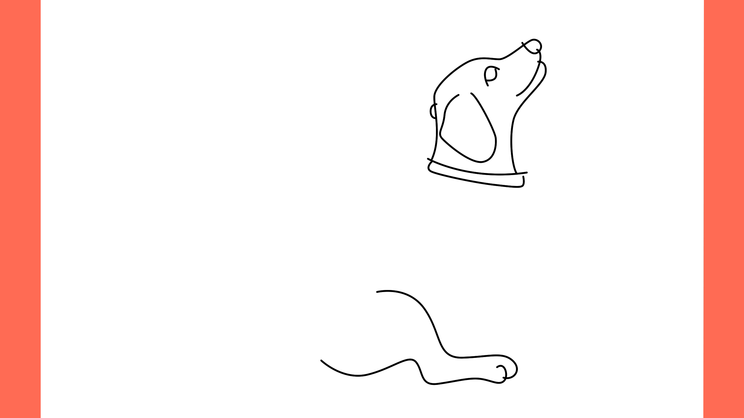 b Comment dessiner un chien coonhound (5)