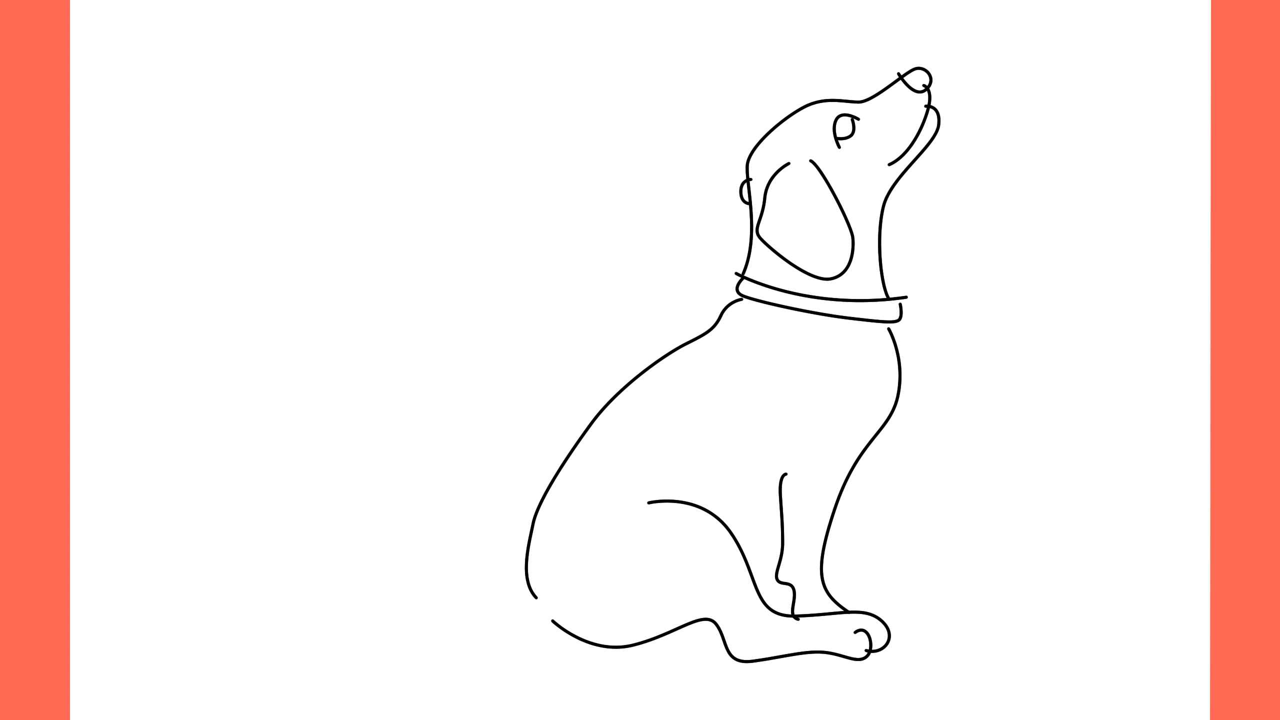 b Comment dessiner un chien coonhound (6)