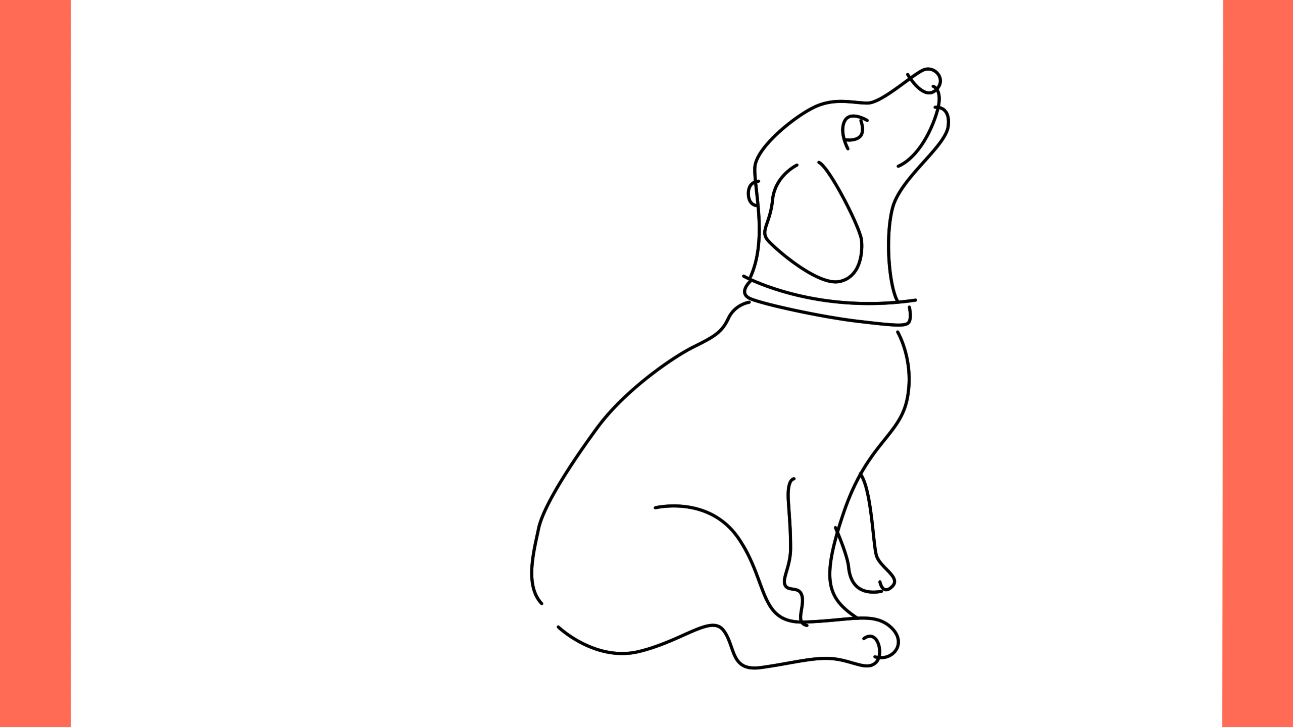 b Comment dessiner un chien coonhound (7)