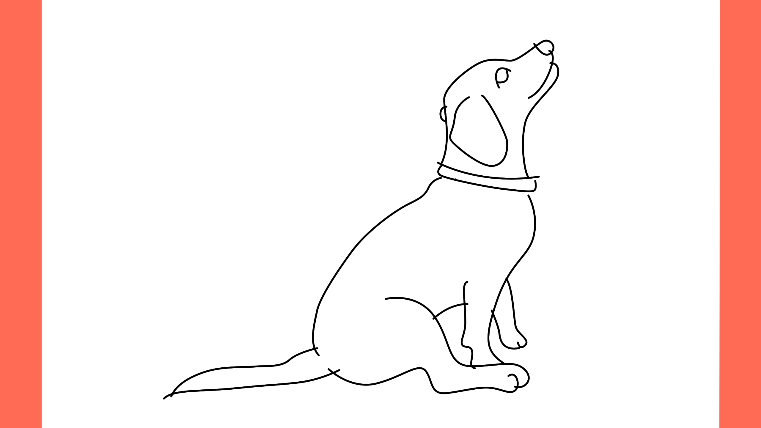 b Comment dessiner un chien coonhound (8)