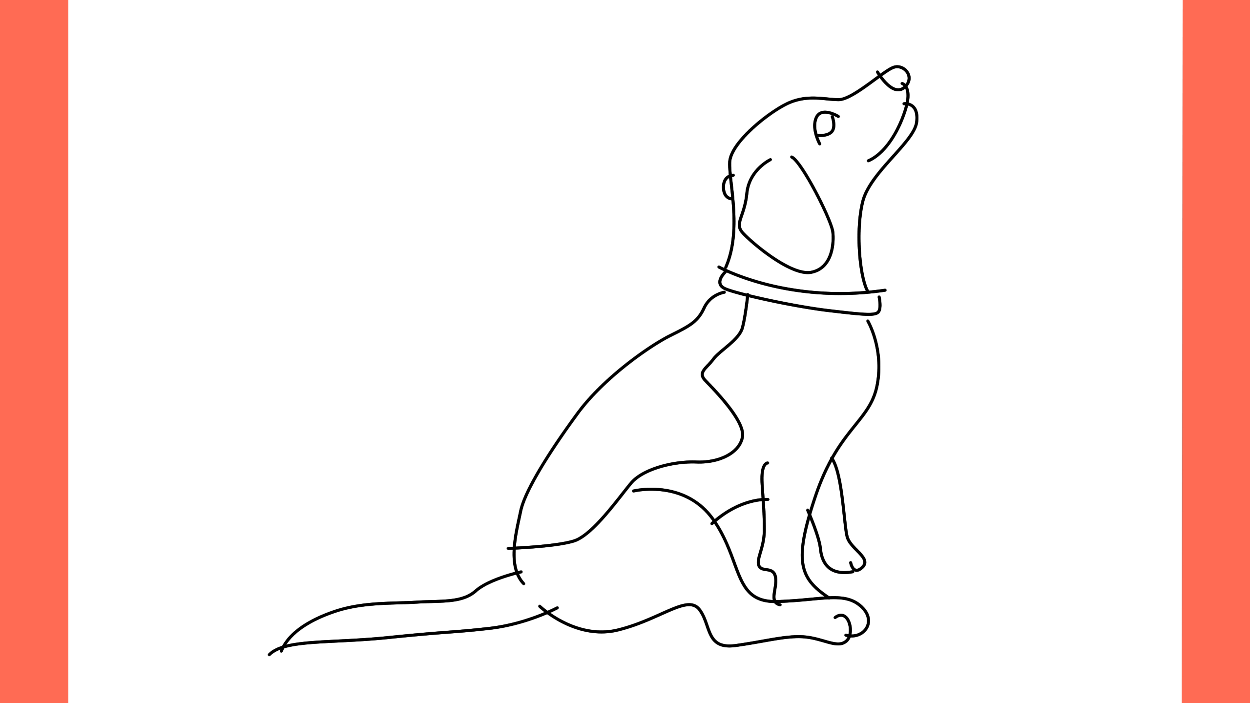 b Comment dessiner un chien coonhound (9)