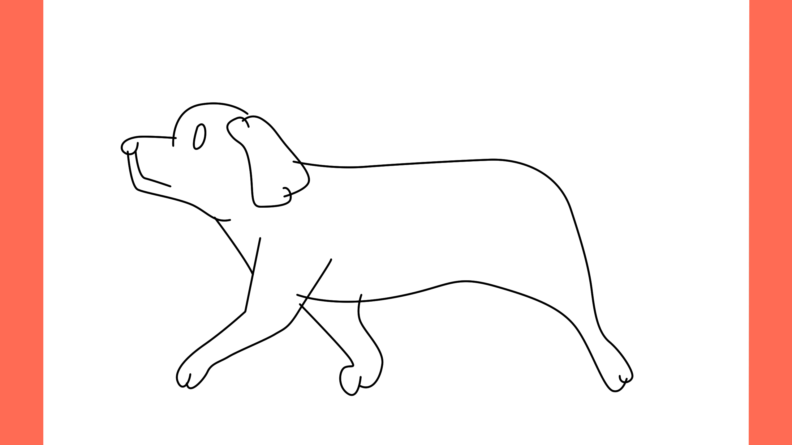 b Comment dessiner un chien en train de marcher (6)