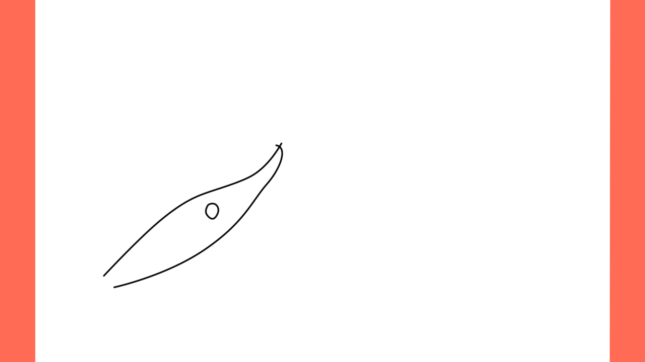 Tutoriel de dessin 112 Comment dessiner un Pteranodon (2)