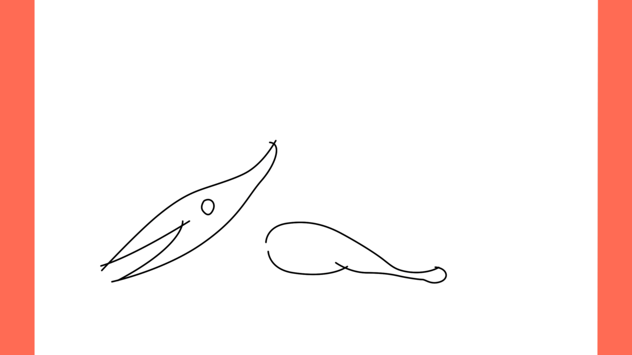 Tutoriel de dessin 112 Comment dessiner un Pteranodon (4)
